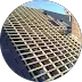 Fontanel
